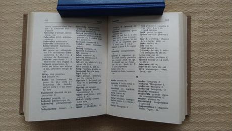 Franc-slov a slov-franc slovník, 