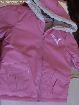 Puma bundička, puma,80