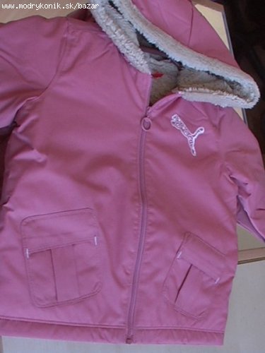 Puma bundička, puma,80