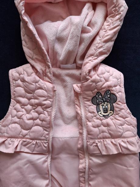 Vesta minnie, disney,86