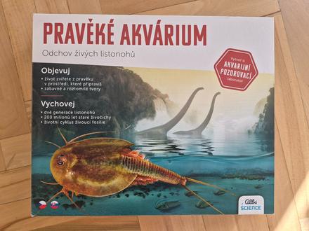 Praveke akvarium albi,