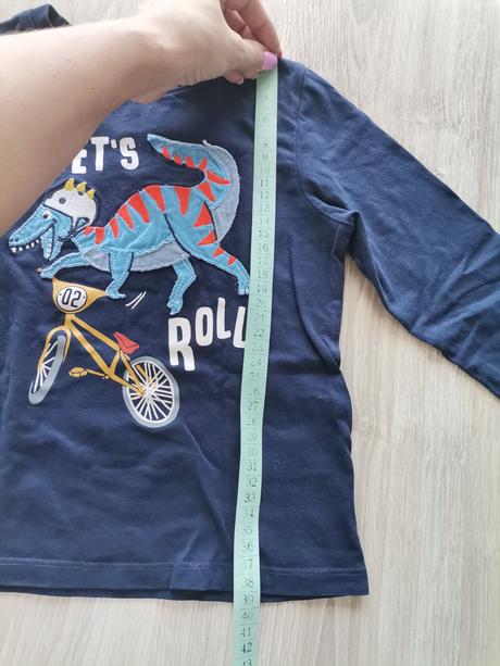 Tricko s dinosaurom, 110