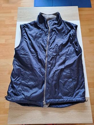 Vesta, xl