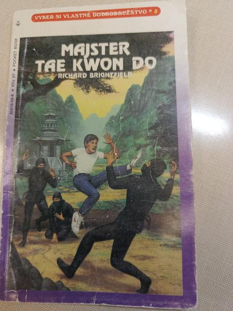 Majster tae kwon do,