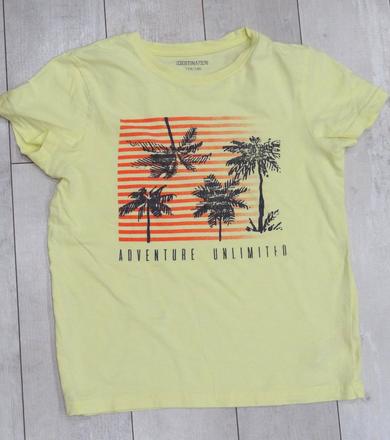 Tričko s palmami, 134