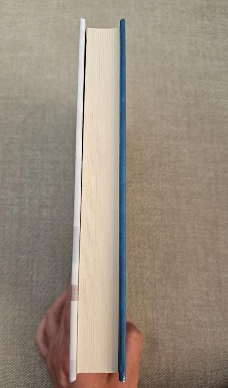 Kniha hotel pamela kelleyová, 