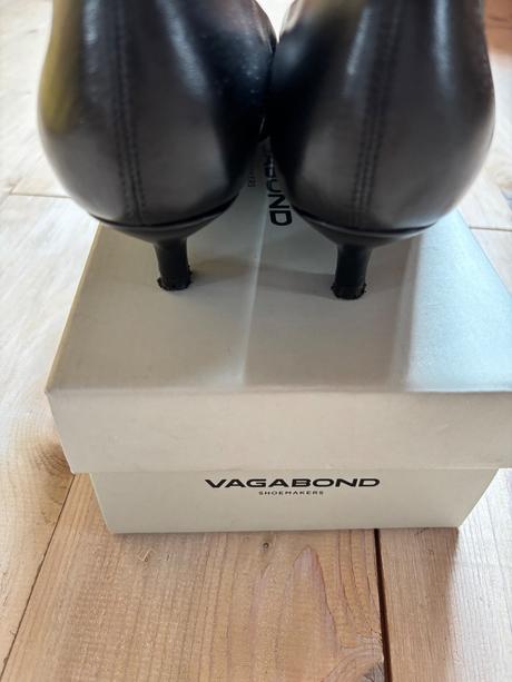 Lodicky, vagabond,39