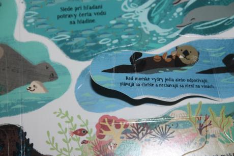 Pozri sa pod obrázok príroda, 