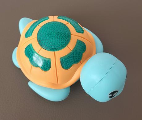 Chodiaca korytnačka, 