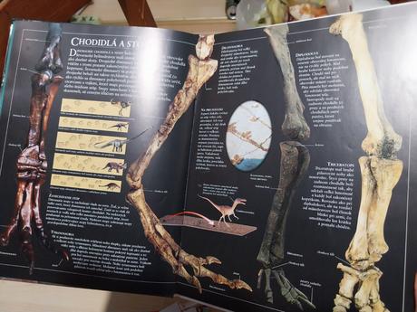 Sprievodca dinosaurov,