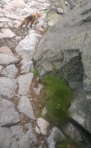 Ži zdravo a športovo