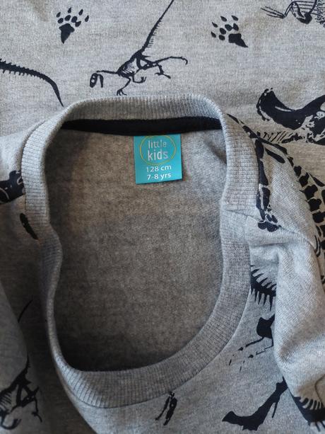 Dinosauria mikina, 128