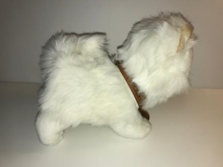 Biely psík - realistický vzhľad - sam,