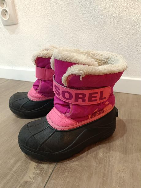 Snehule sorel, sorel,31