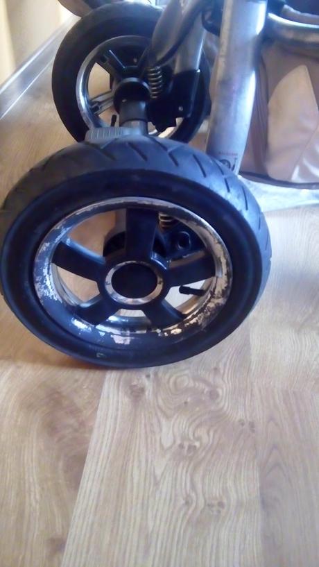 Kočik, tako,tako captiva mohican