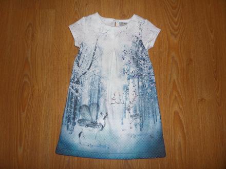 Šaty s krajinkou, 104