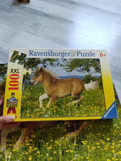 Puzzle kôň xxl,