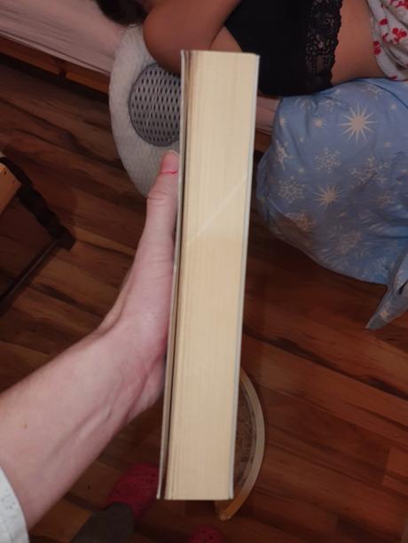 Pocertena ockov anjelik, 