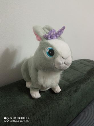 Interaktívny zajac, 