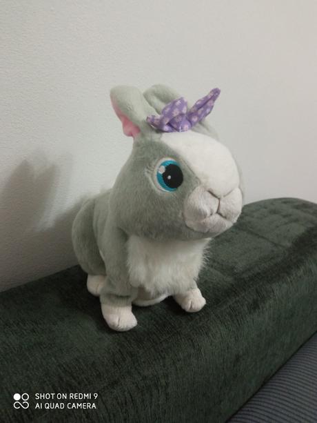 Interaktívny zajac, 