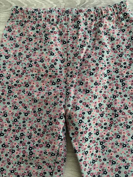 Leginy, topolino,122