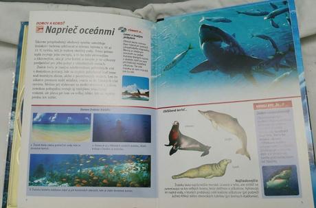 Žraloky - predátory zblízka, dvd s knizočkou, 