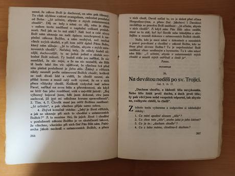 Jozef sypták - jubilejní postila (1915), 