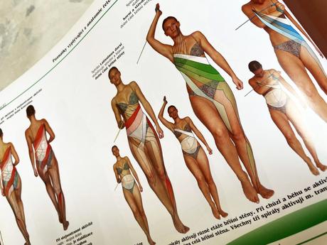 Zdravá záda/zdravá chúze/sm systém,