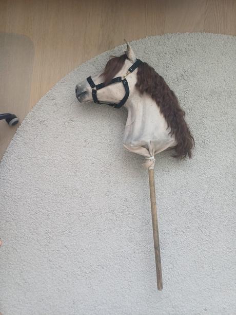 Hobby horse,