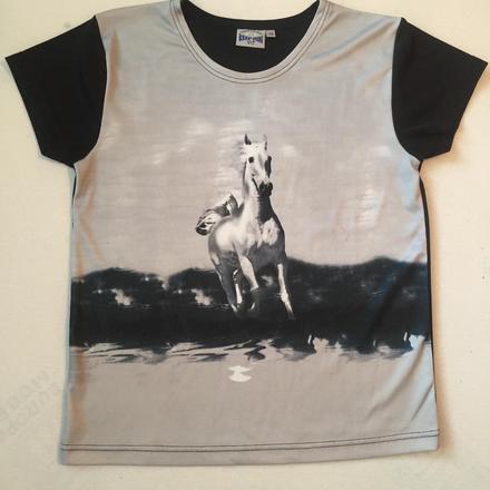 Tričko s koníkom, 176