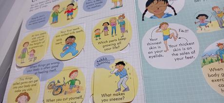 Usborne your body flap book,