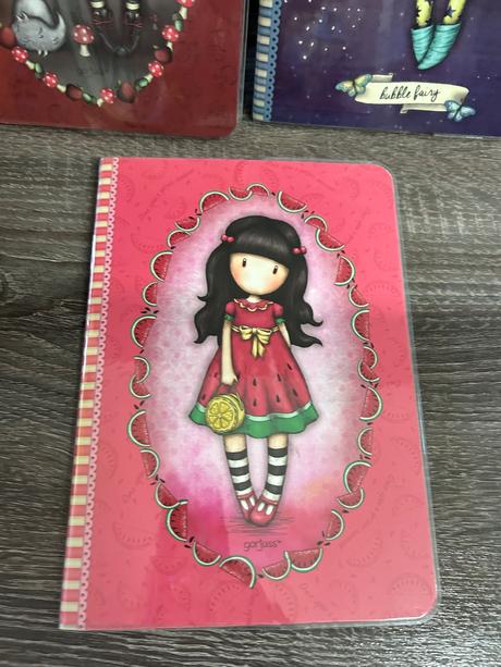 Santoro dievcenske zosity,zapisniky,