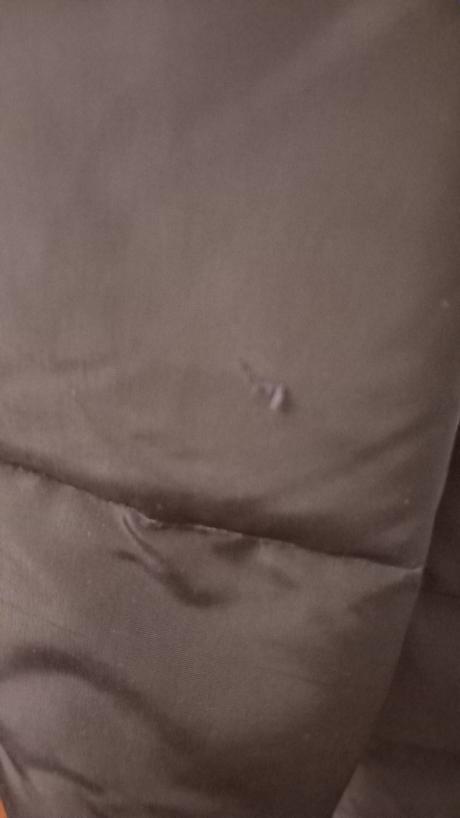 Dlhá bunda, guess,xs