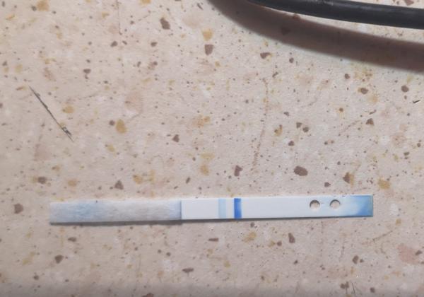 Menzes mi mešká 5 dní a na každom teste je duch