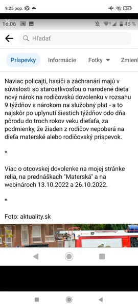 Otcovská dovolenka - silové zložky