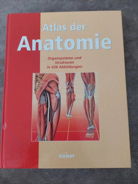 Atlas anatómie - nemecké vydanie, 