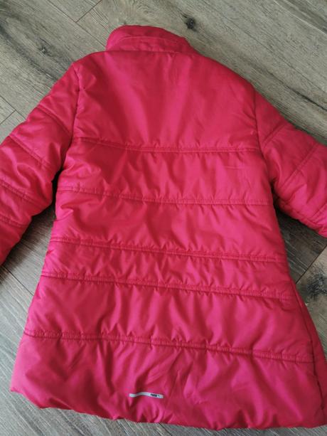 Puma bunda, puma,110