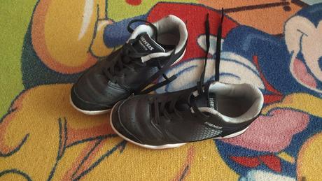 Veľ.31 halovky kensis, 31