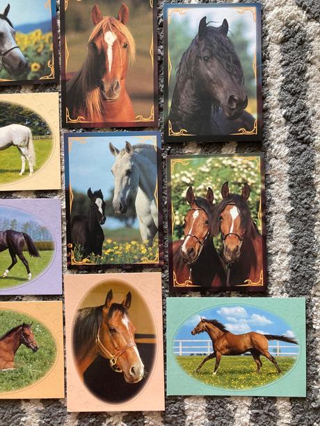 Pohľadnice koní nepopísané 10ks,