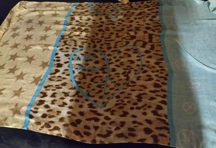 Veľká zaujímavá šatka, 