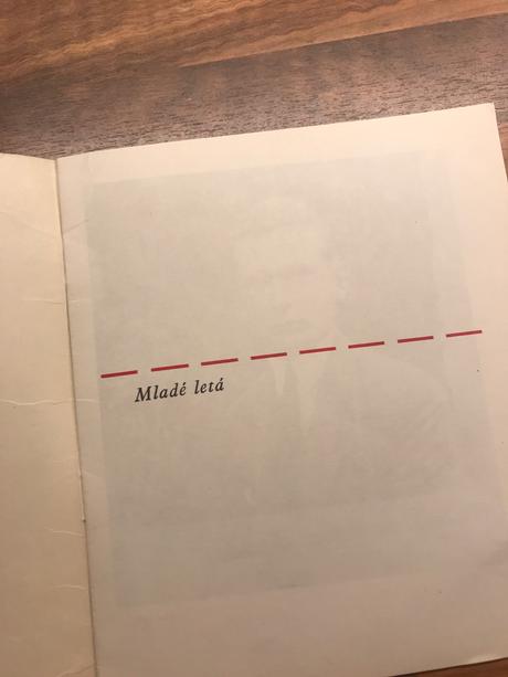 Detstvo a mladosť fraňa kráľa libor knežek,