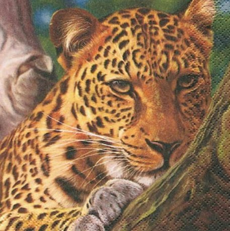 Servítka jaguár 4ks (s127), 