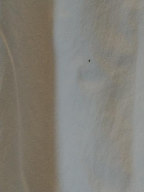 Dámske tenké biele nohavice, poppy, xl