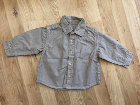 Pasikava kosela, st. bernard,74