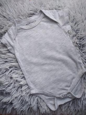 Body, fox & bunny,62