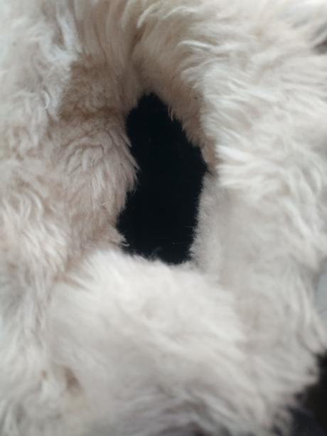 Primigi čižmy goretex, primigi,34