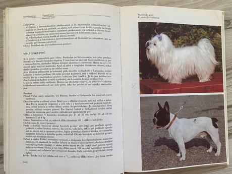 Starý retro atlas plemien psov,