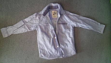 Kosela, palomino,104