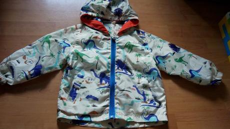 Bundička dinosaurus, 98