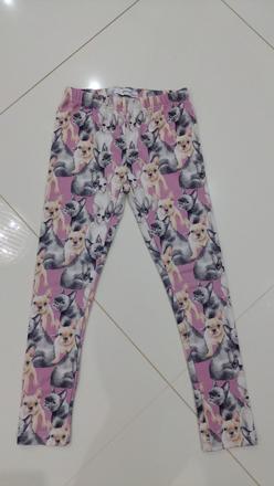 Leginy, reserved,128